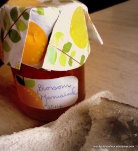 Homemade Marmalade